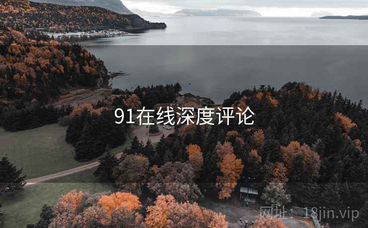 91在线深度评论  第1张