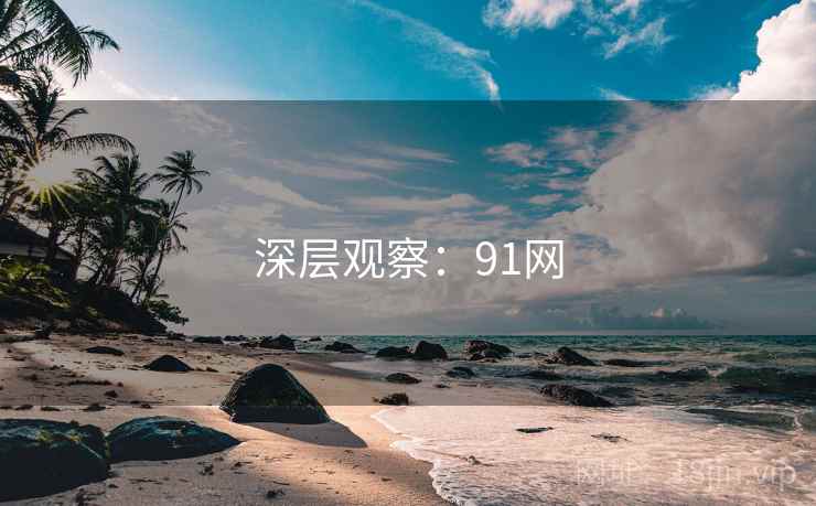 深层观察:91网