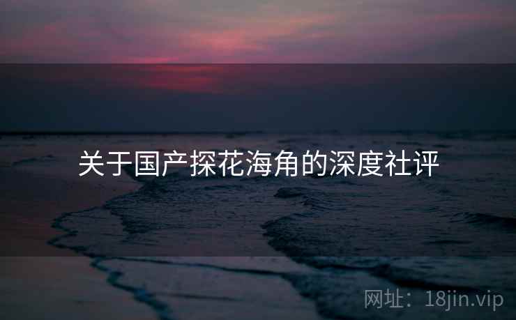 关于国产探花海角的深度社评