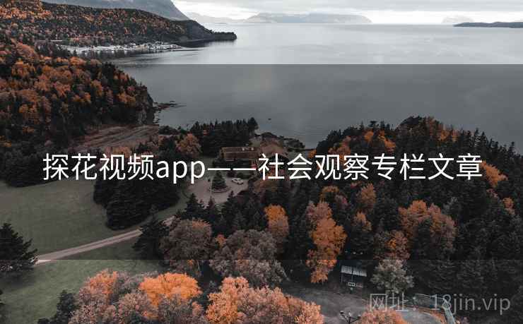 探花视频app——社会观察专栏文章