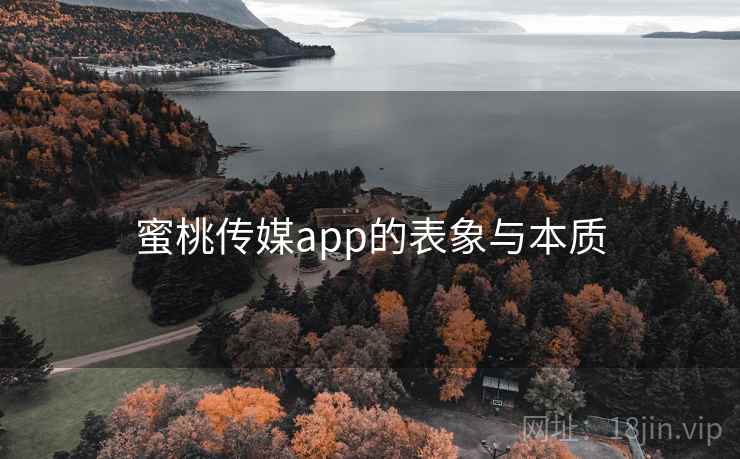 蜜桃传媒app的表象与本质